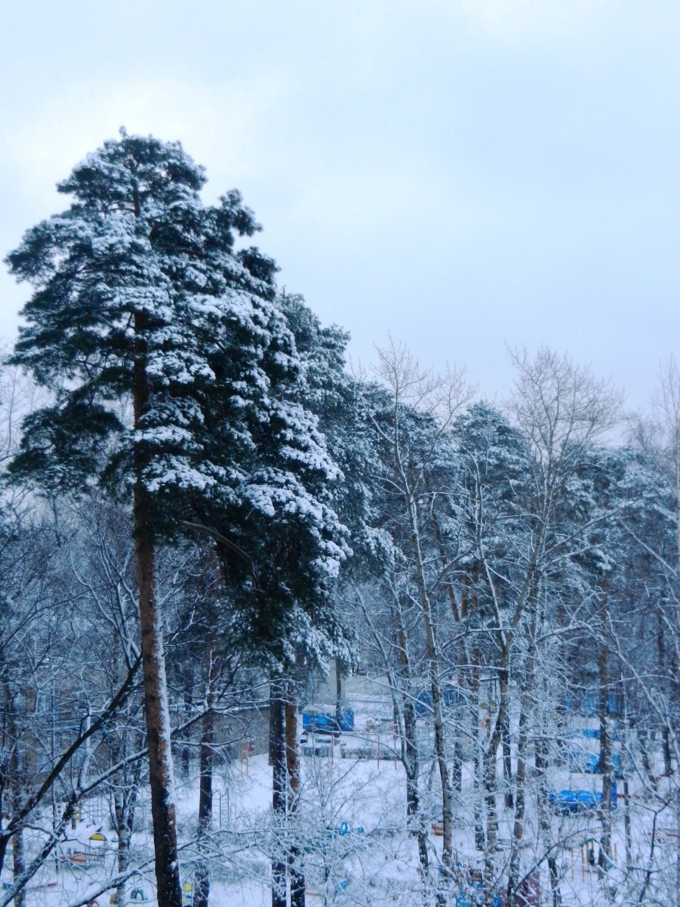 DSCN0751.JPG