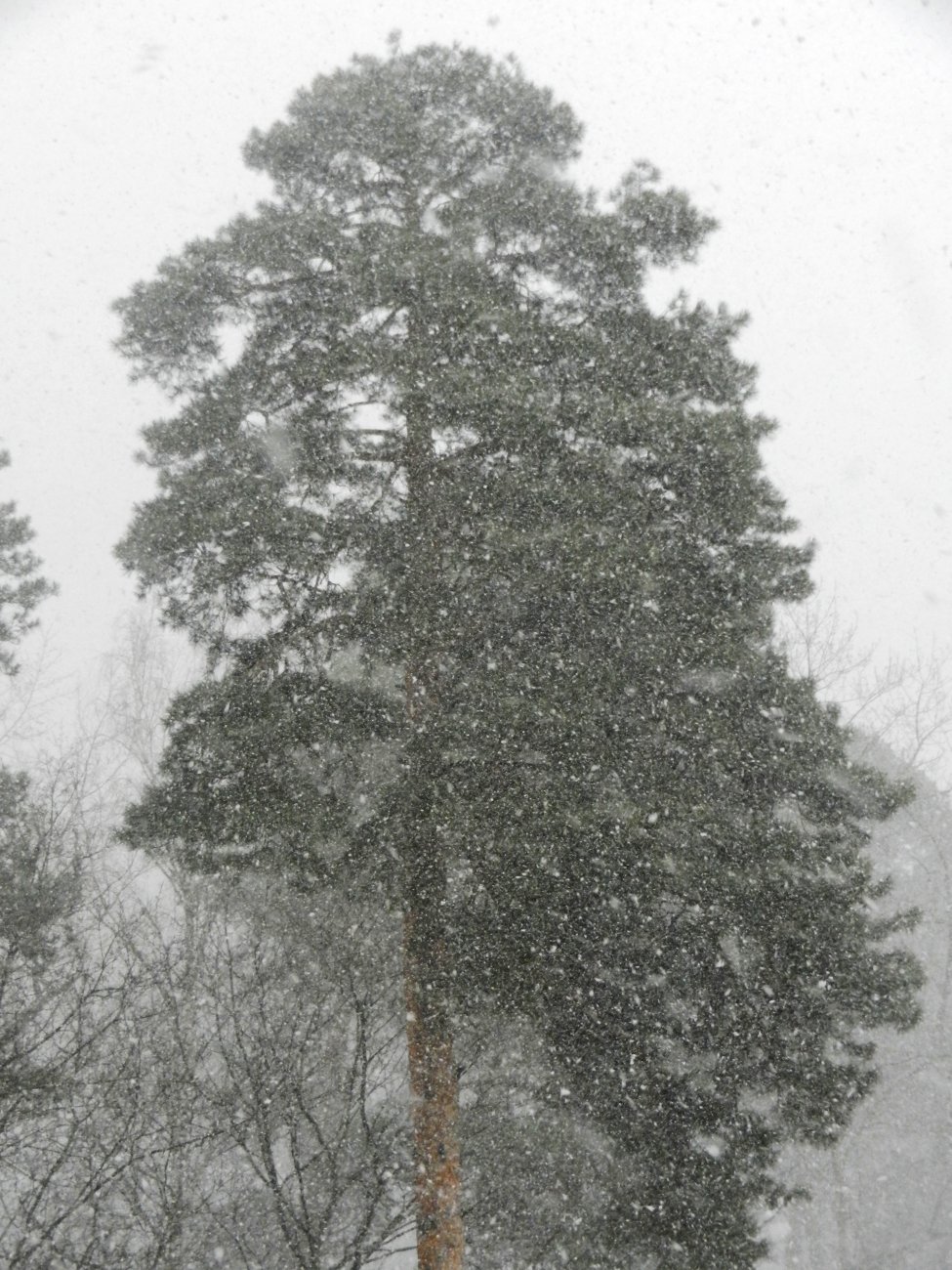 DSCN0758.JPG