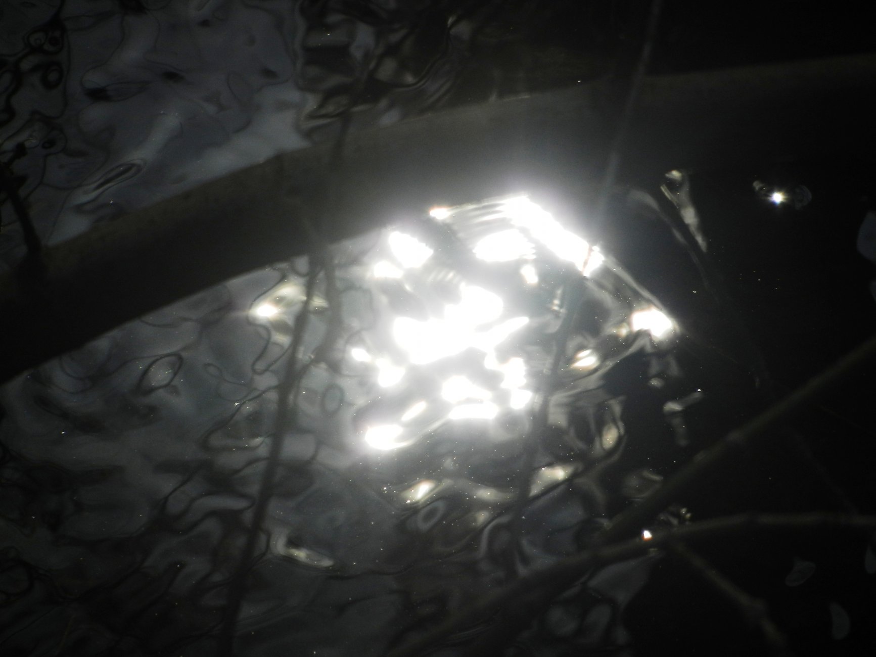 DSCN0785.JPG