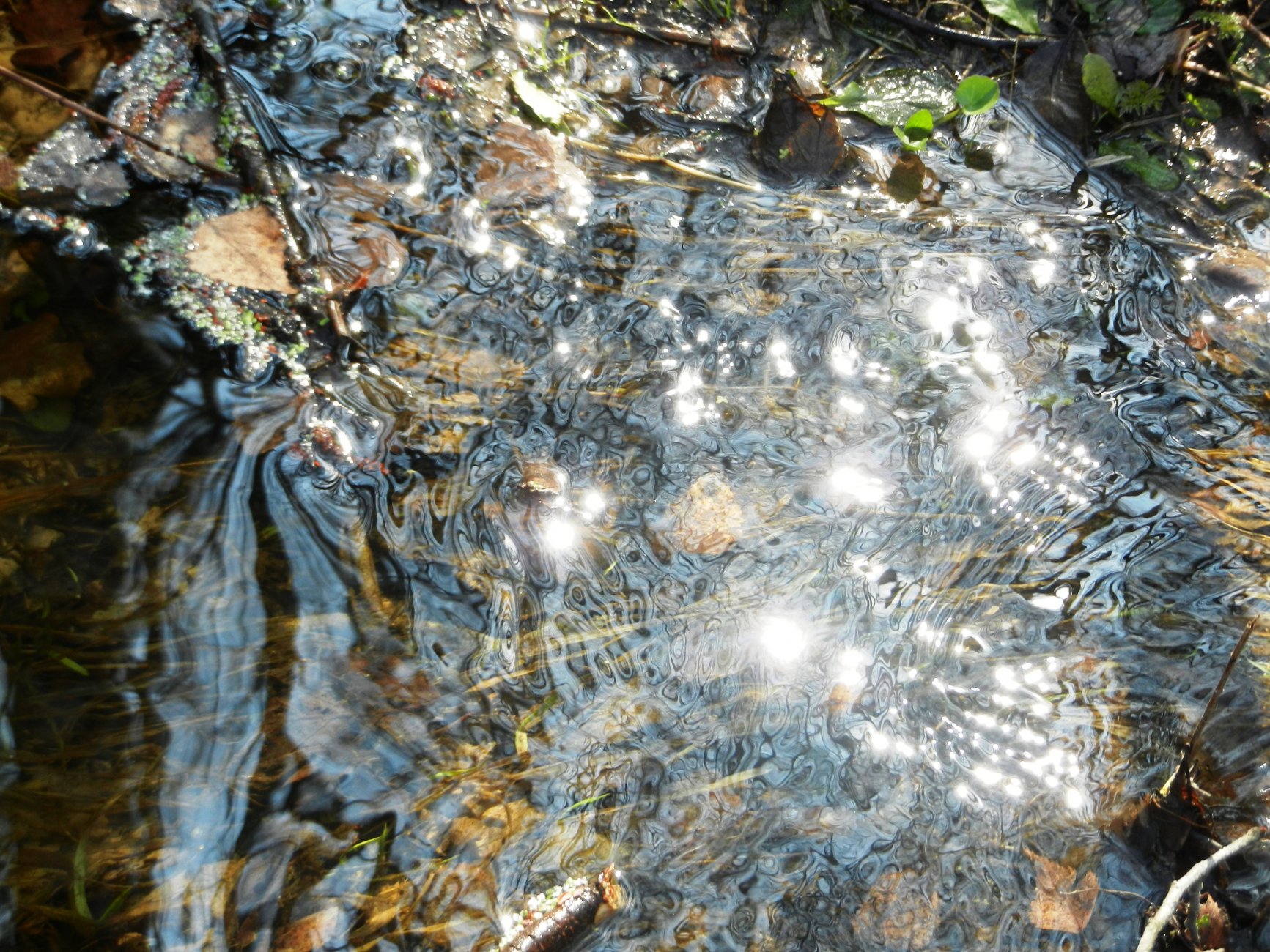 DSCN0791.JPG