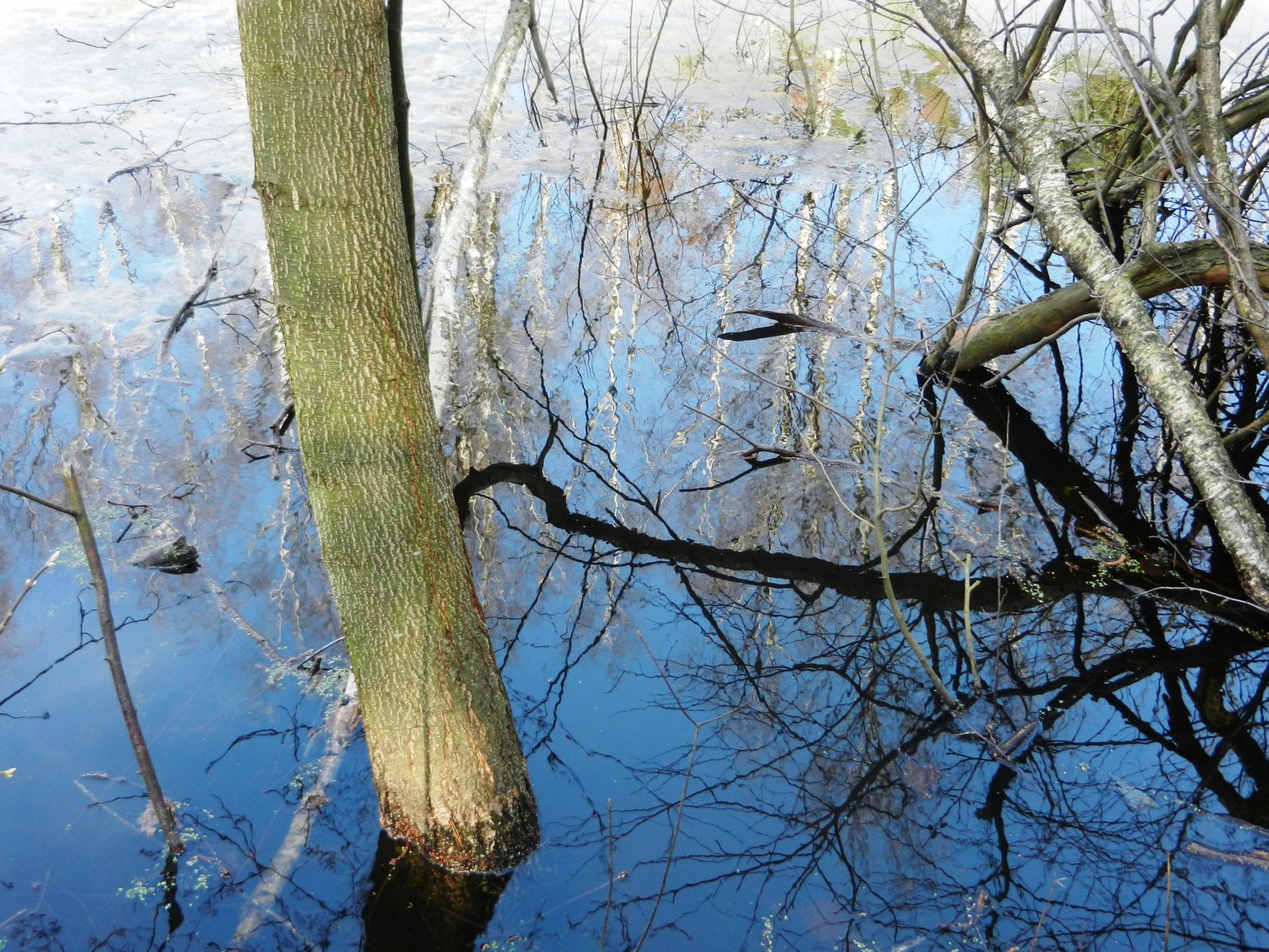 DSCN0801.JPG