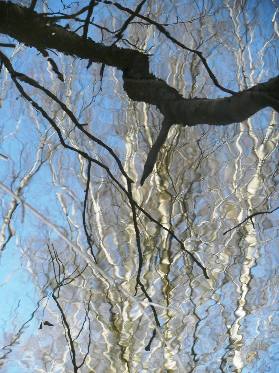 DSCN0805.JPG