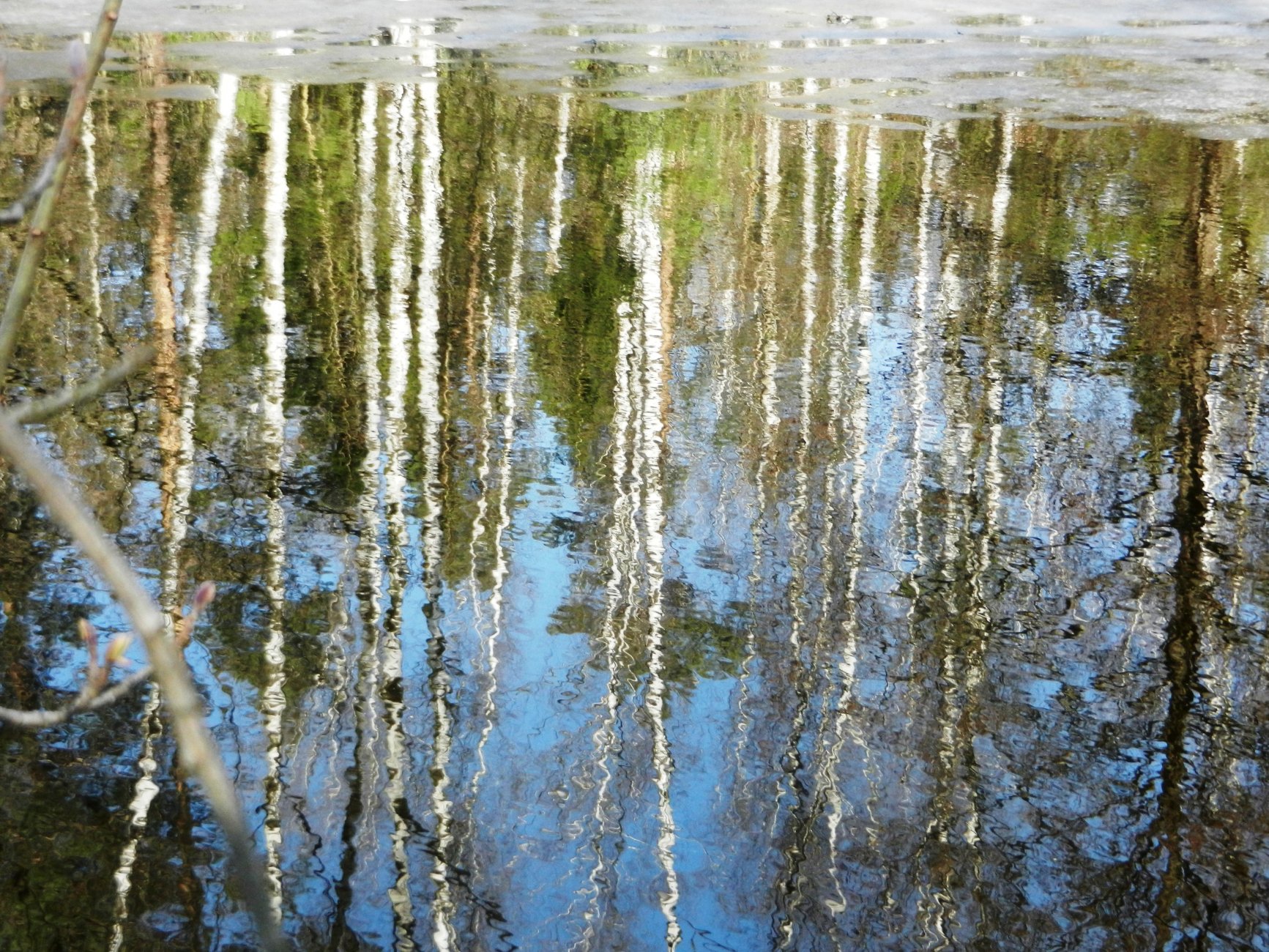 DSCN0808.JPG