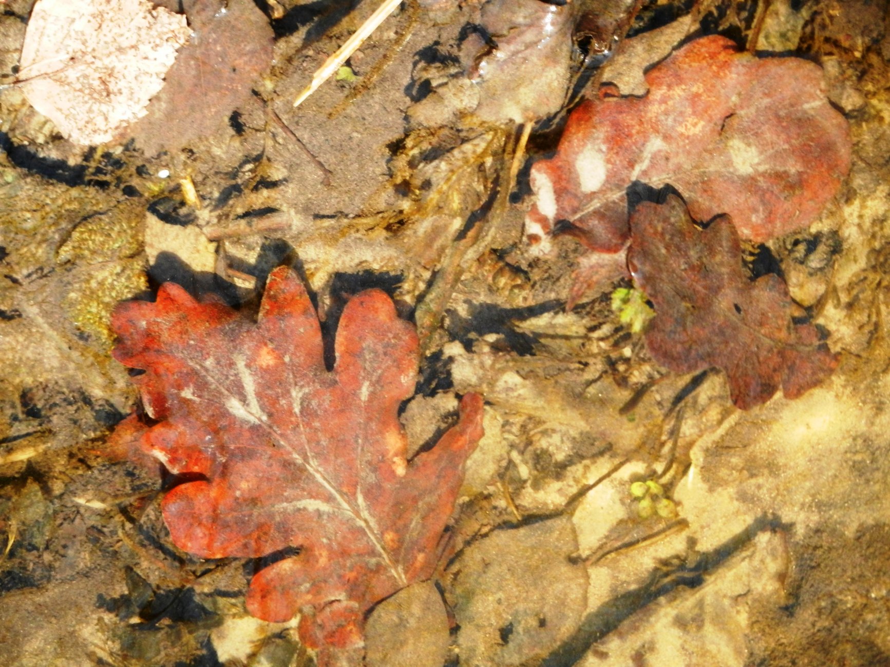 DSCN0816.JPG
