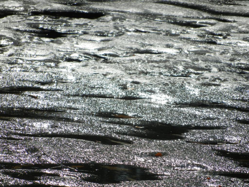 DSCN0835.JPG