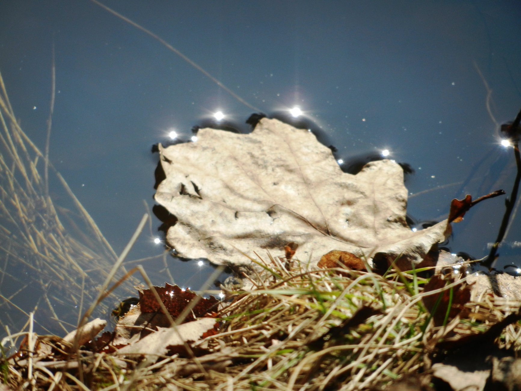 DSCN0841.JPG
