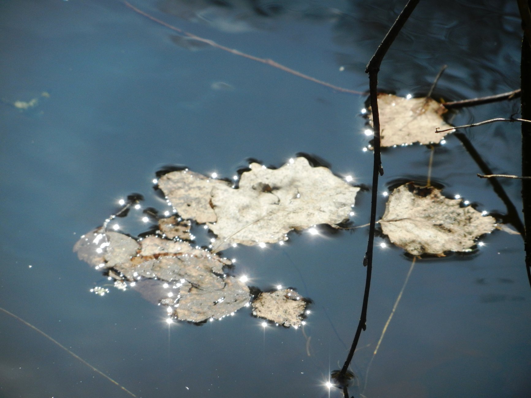 DSCN0843.JPG