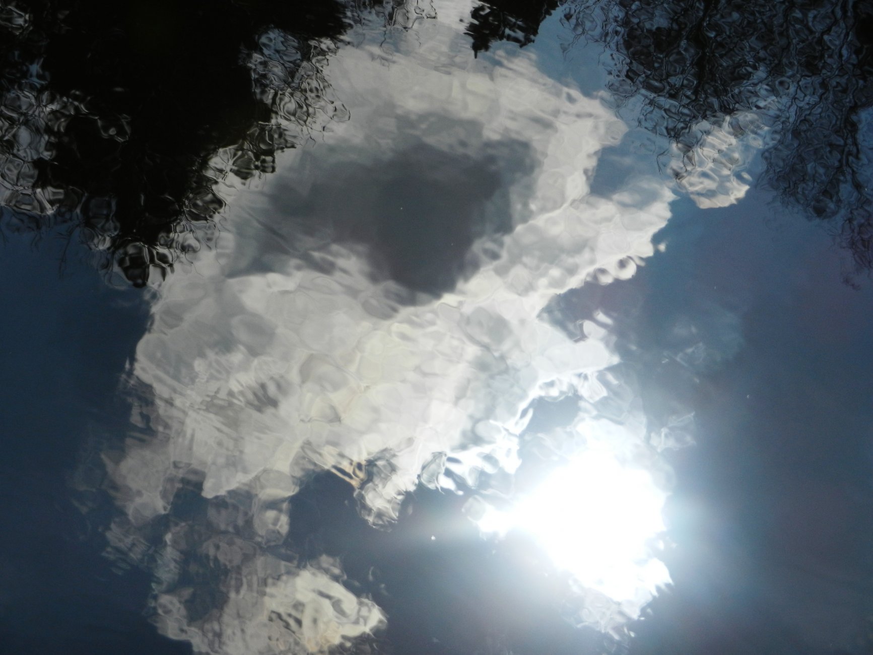 DSCN0857.JPG