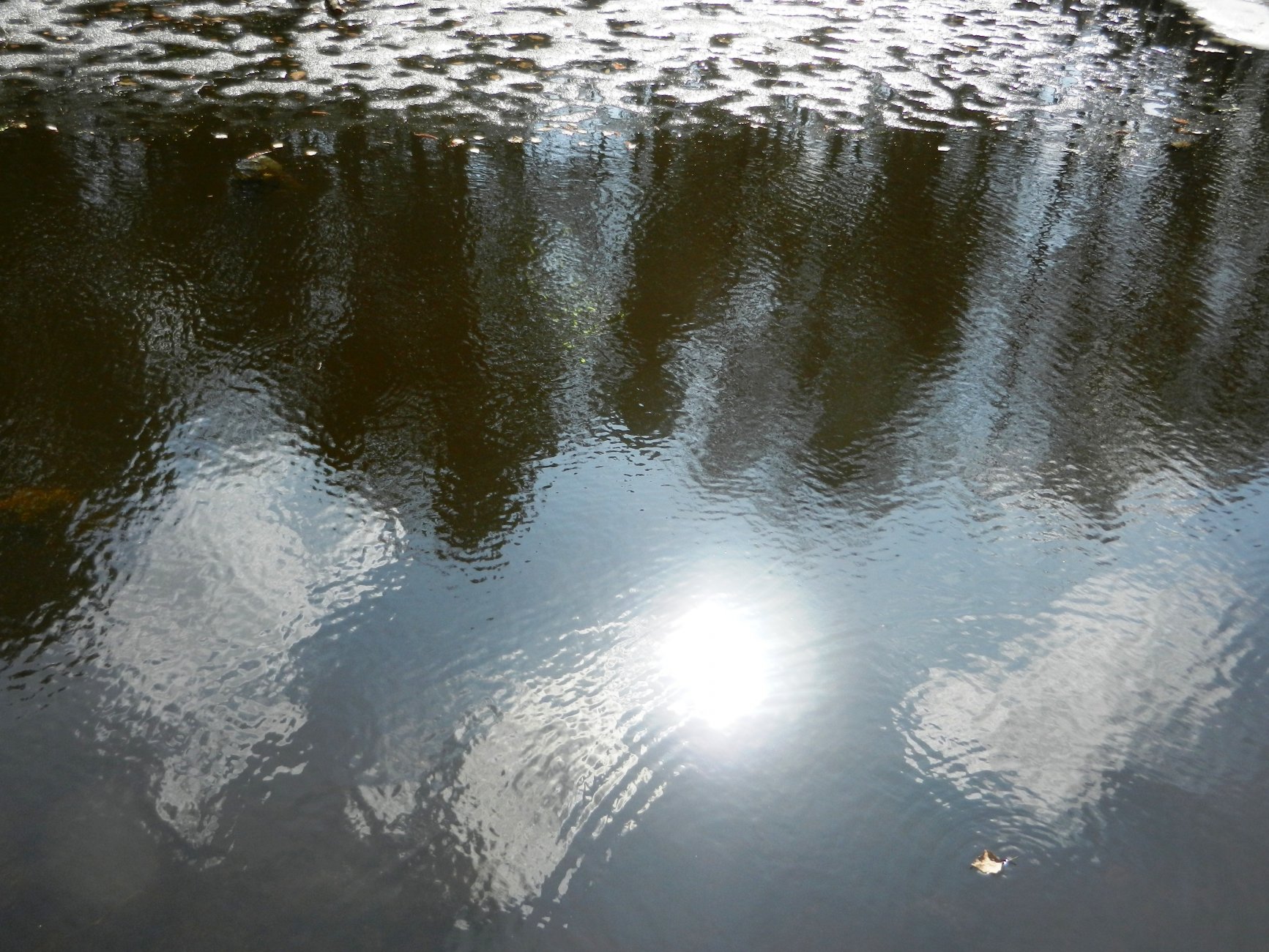 DSCN0860.JPG