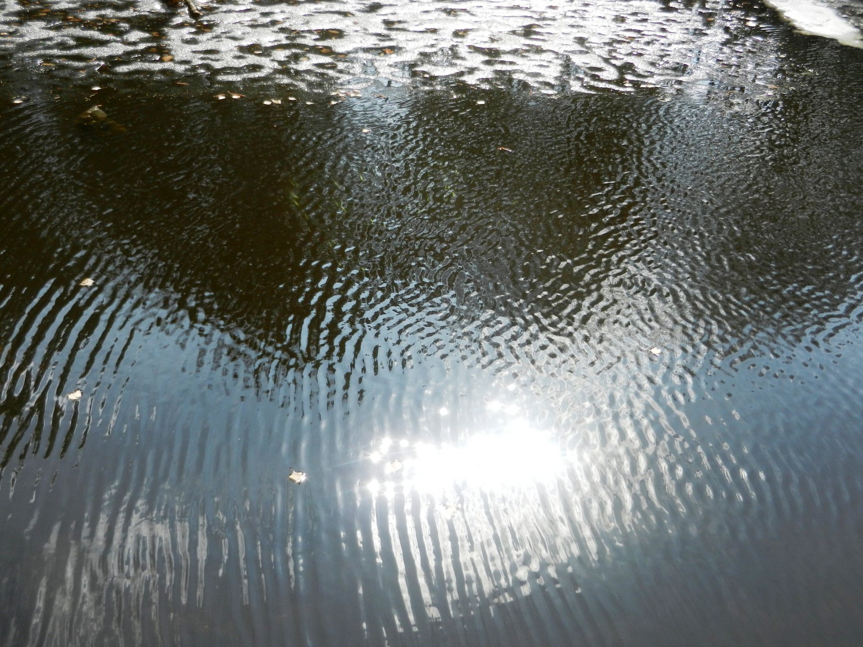 DSCN0864.JPG