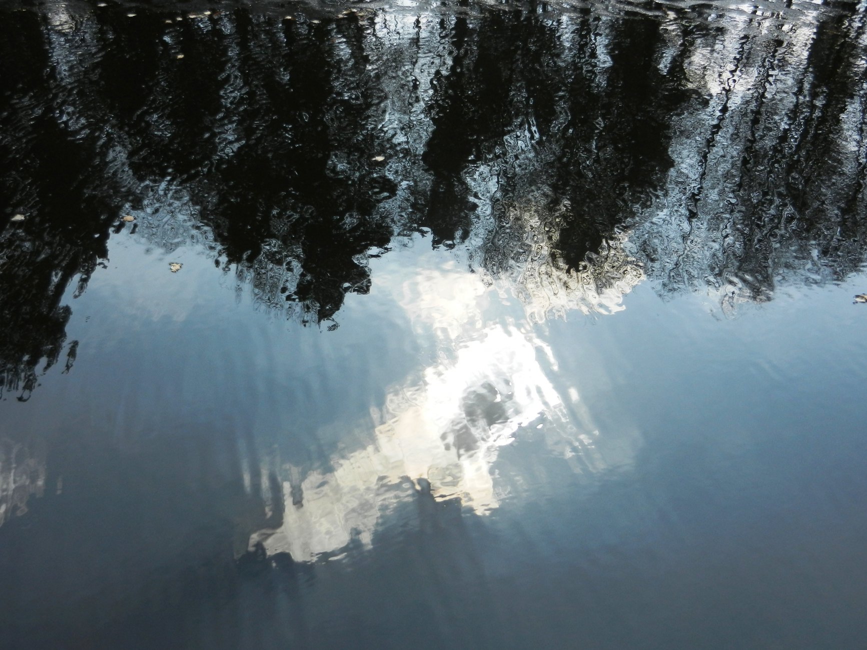DSCN0868.JPG