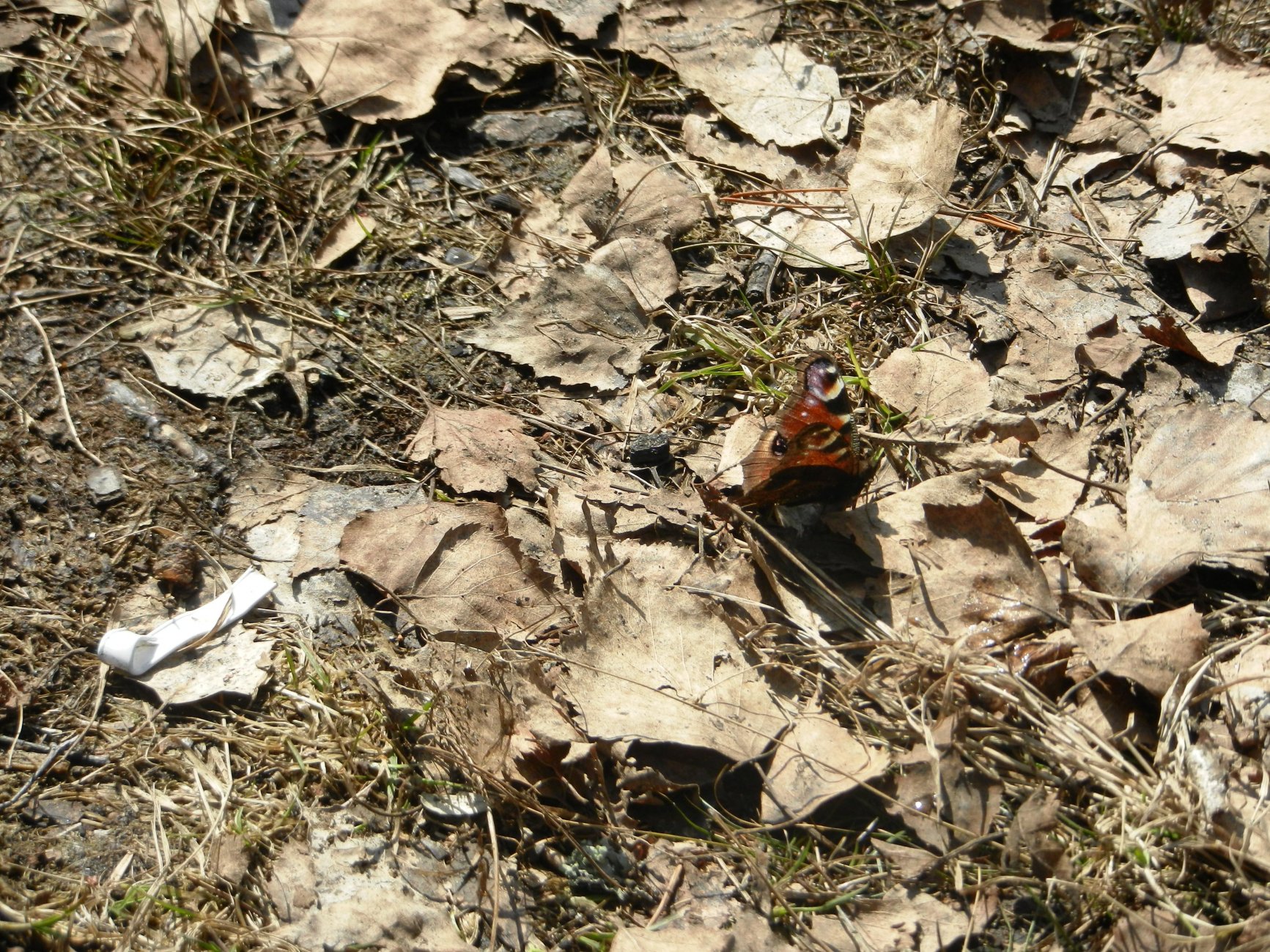 DSCN0880.JPG