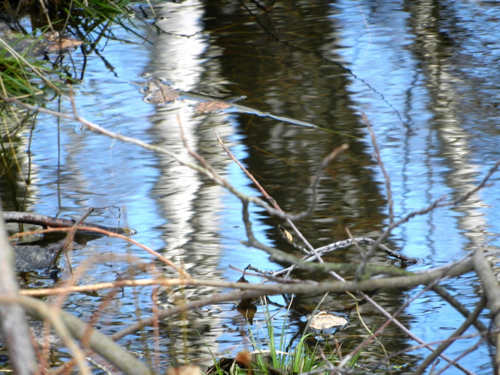DSCN0894.JPG
