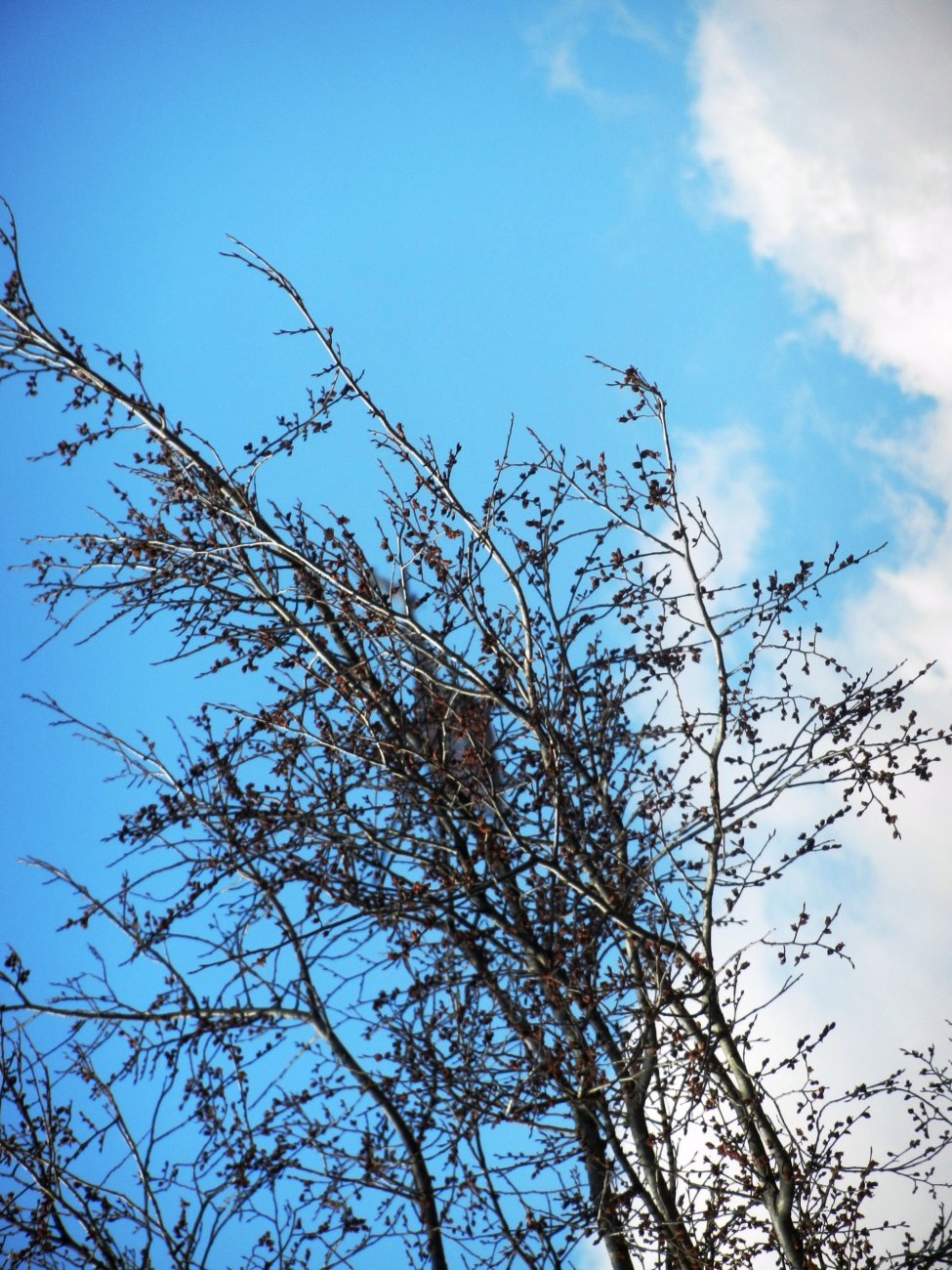 DSCN0895.JPG