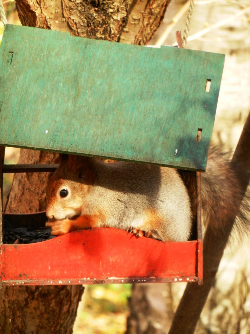 DSCN0900.JPG