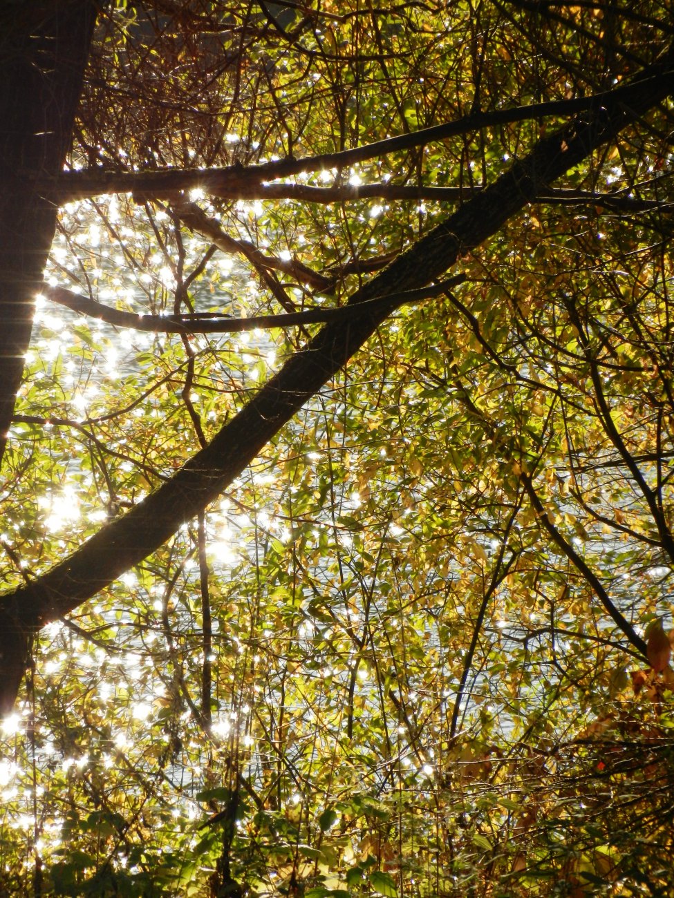 DSCN0921.JPG