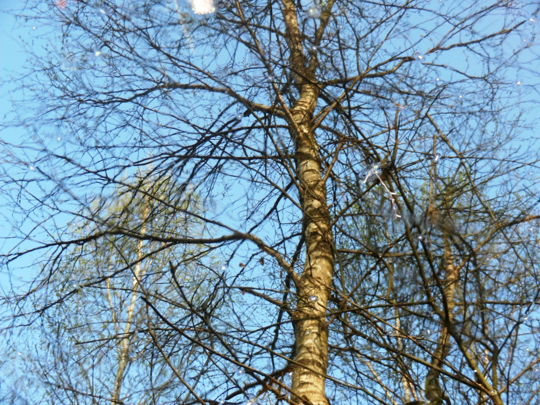 DSCN1052.JPG