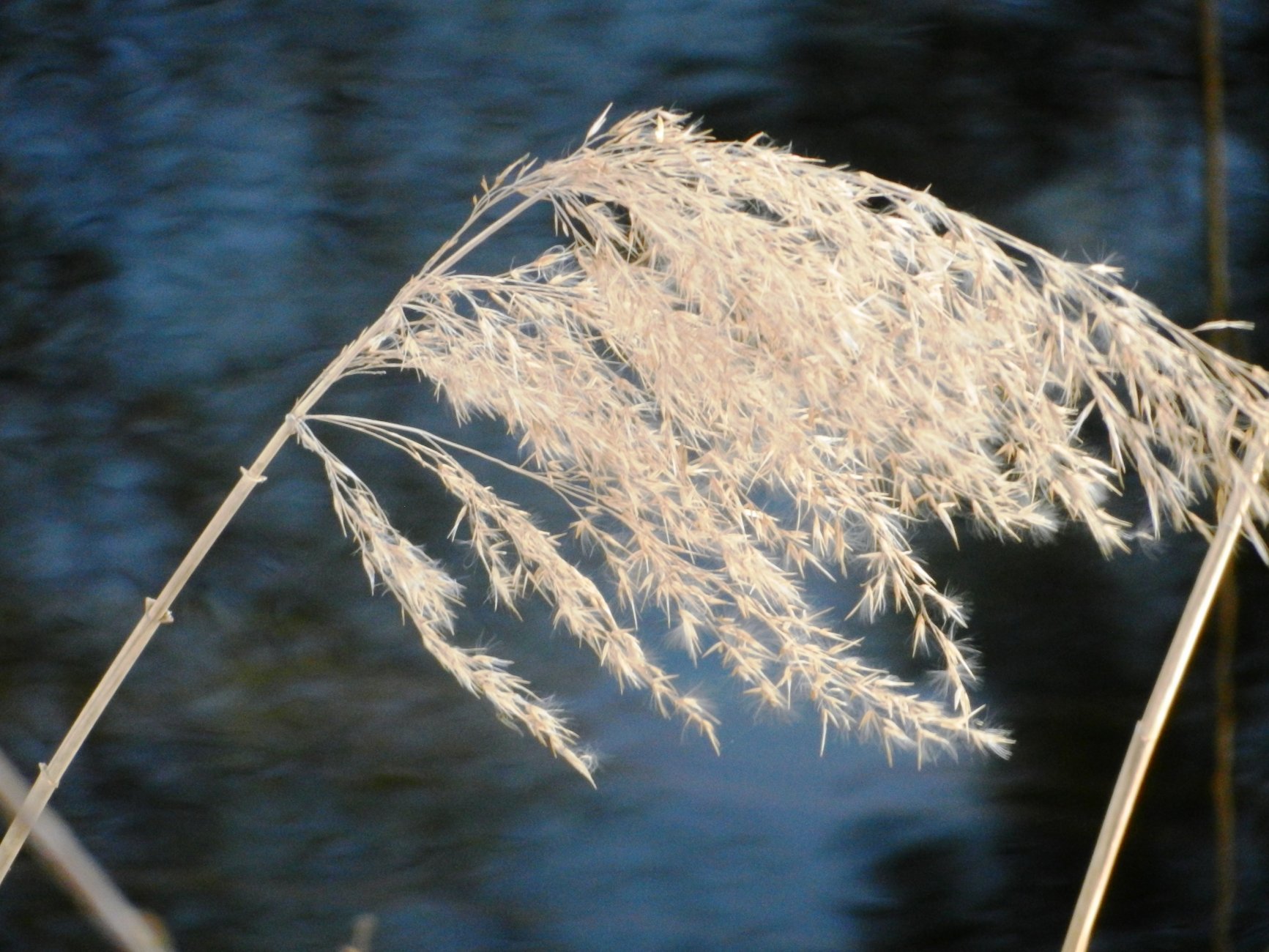 DSCN1065.JPG
