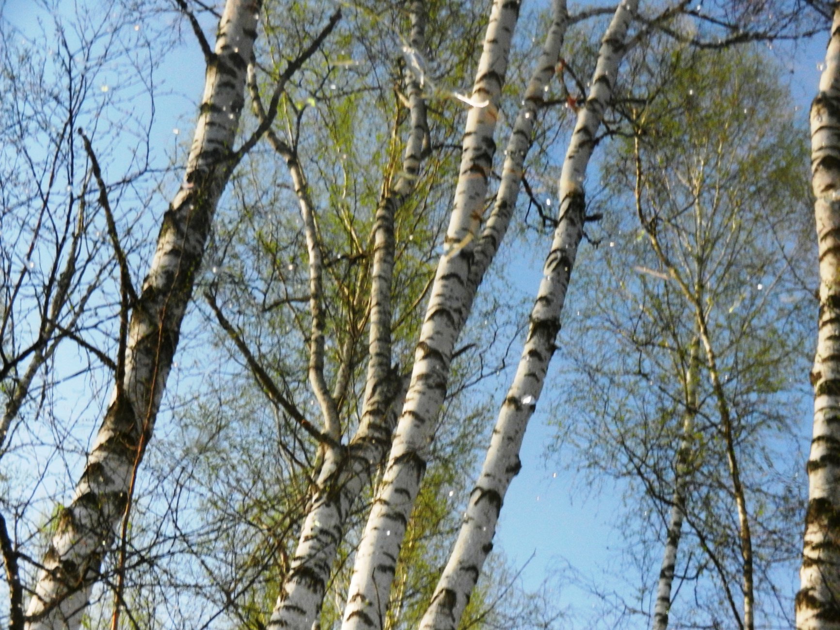 DSCN1067.JPG