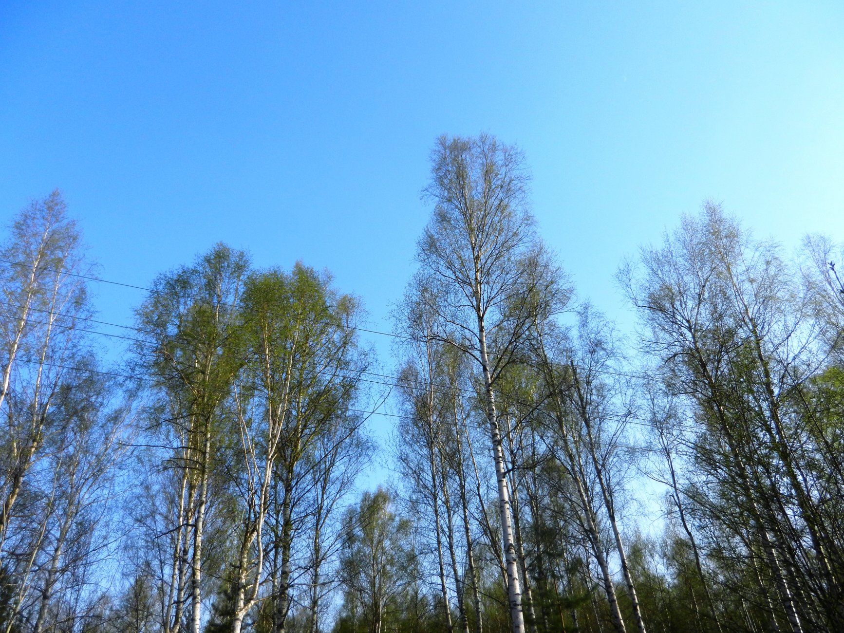 DSCN1072.JPG