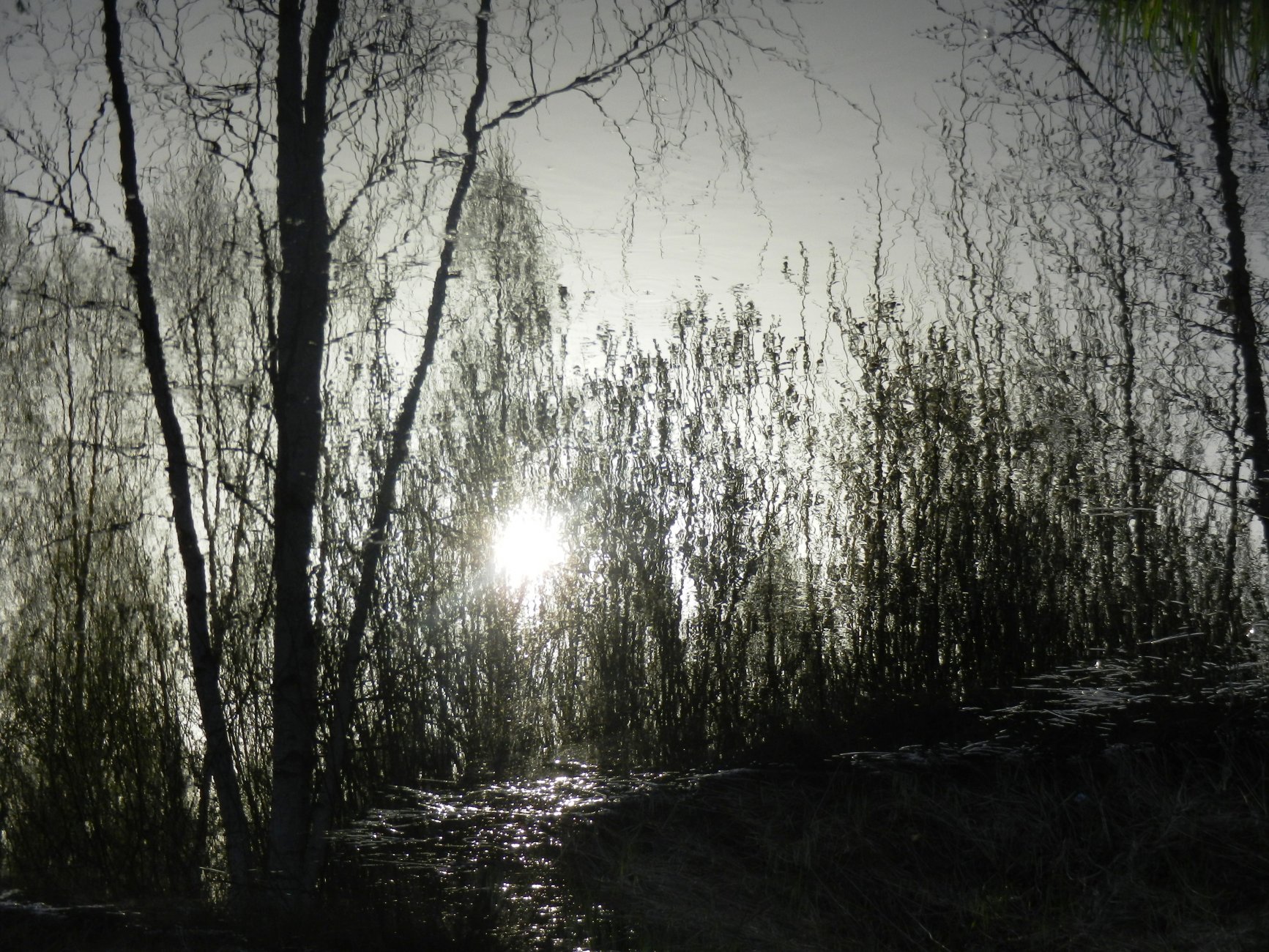 DSCN1089.JPG
