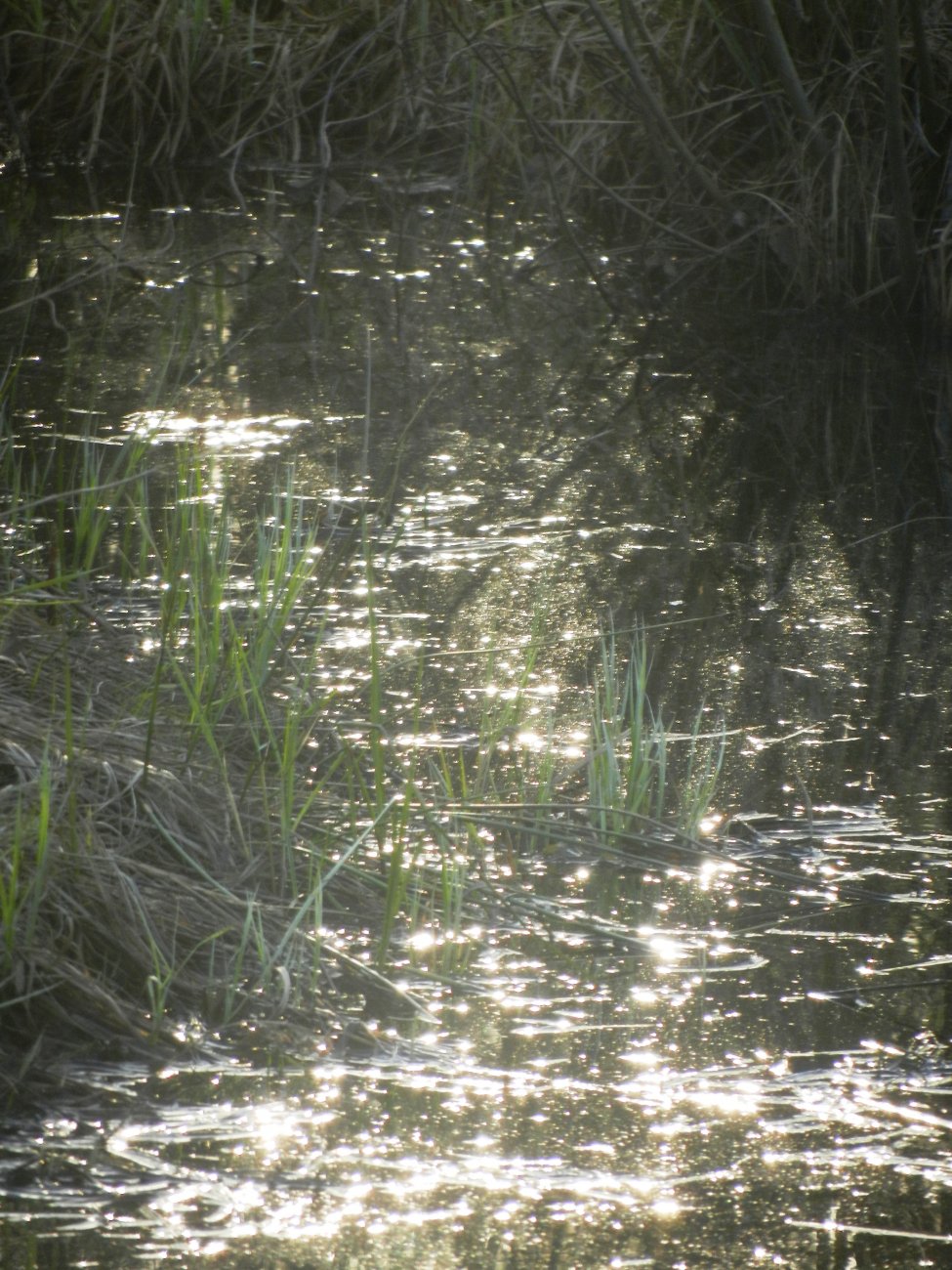 DSCN1094.JPG