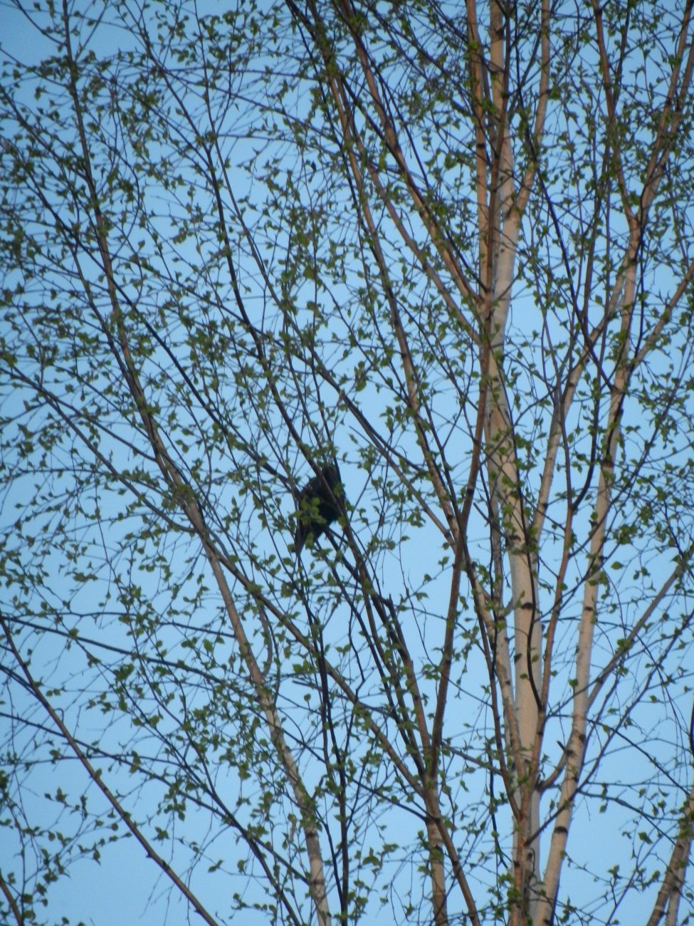 DSCN1144.JPG