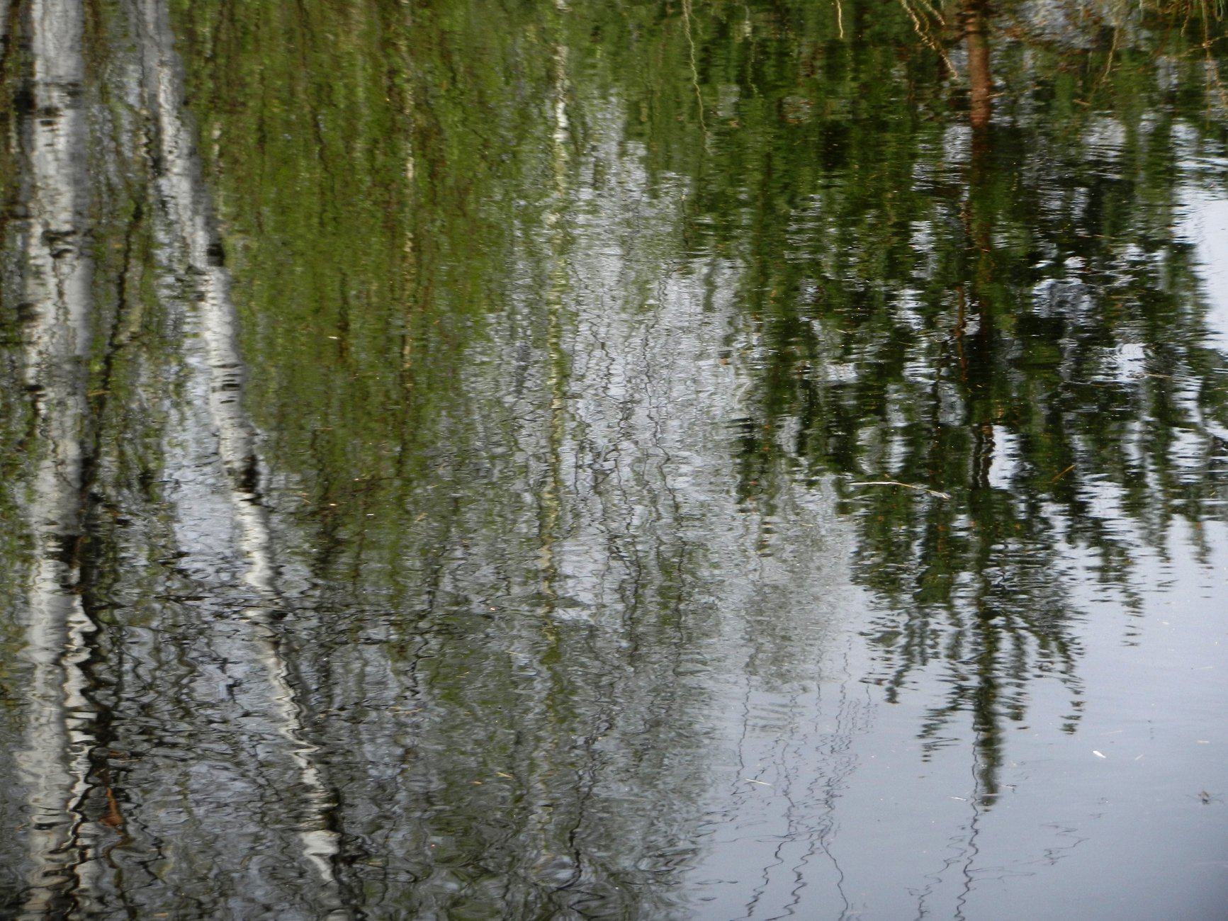 DSCN1182.JPG