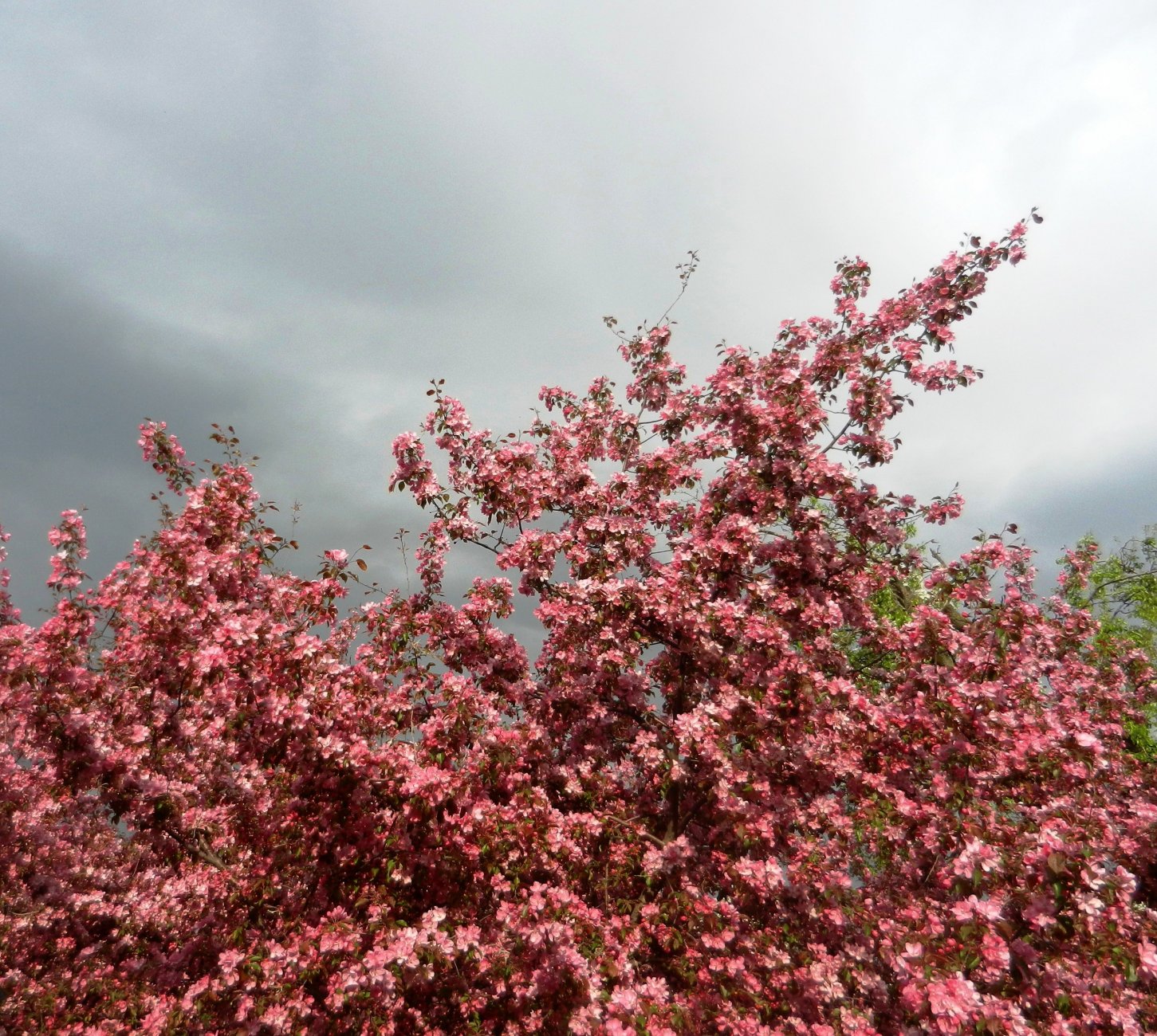DSCN1222.JPG