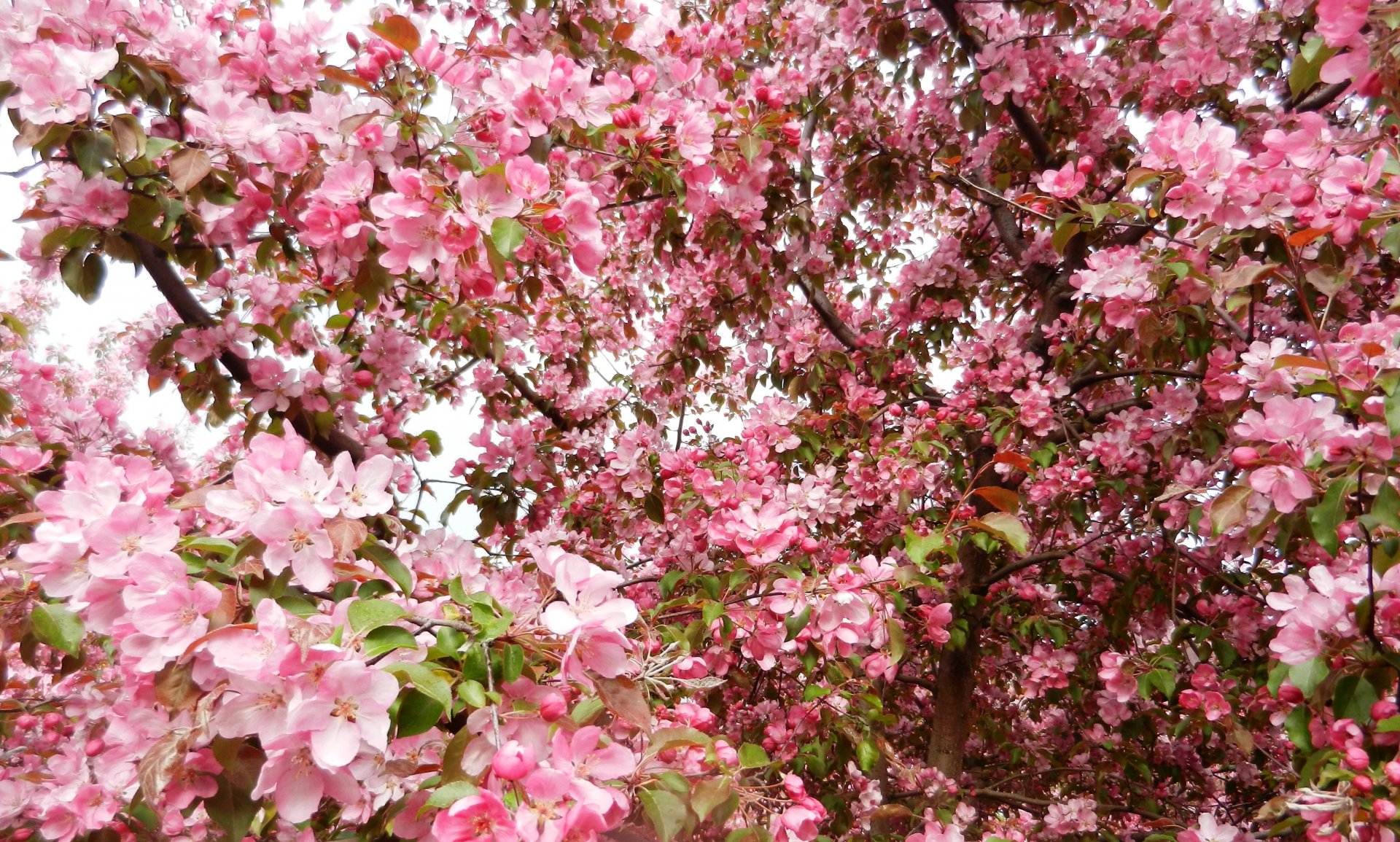 DSCN1227.JPG