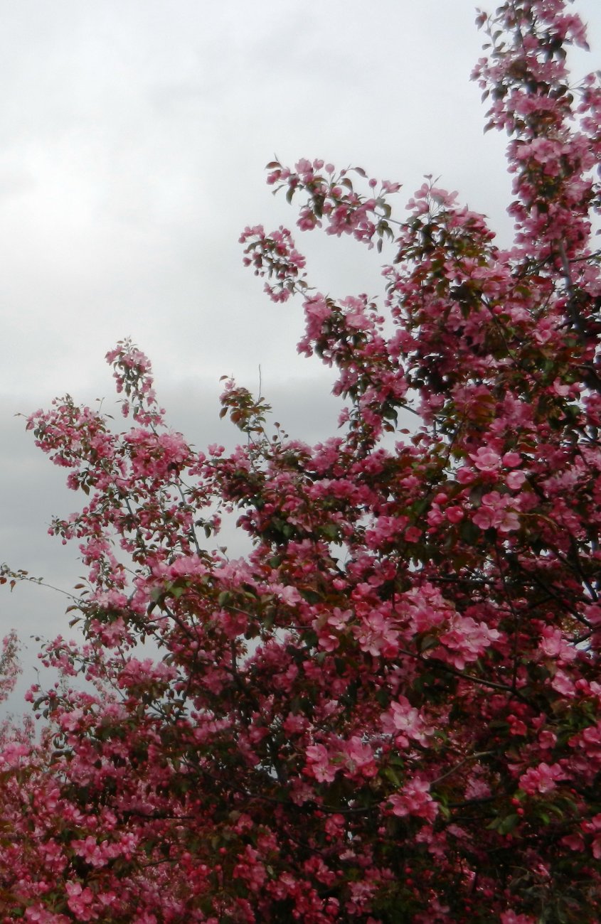 DSCN1228.JPG