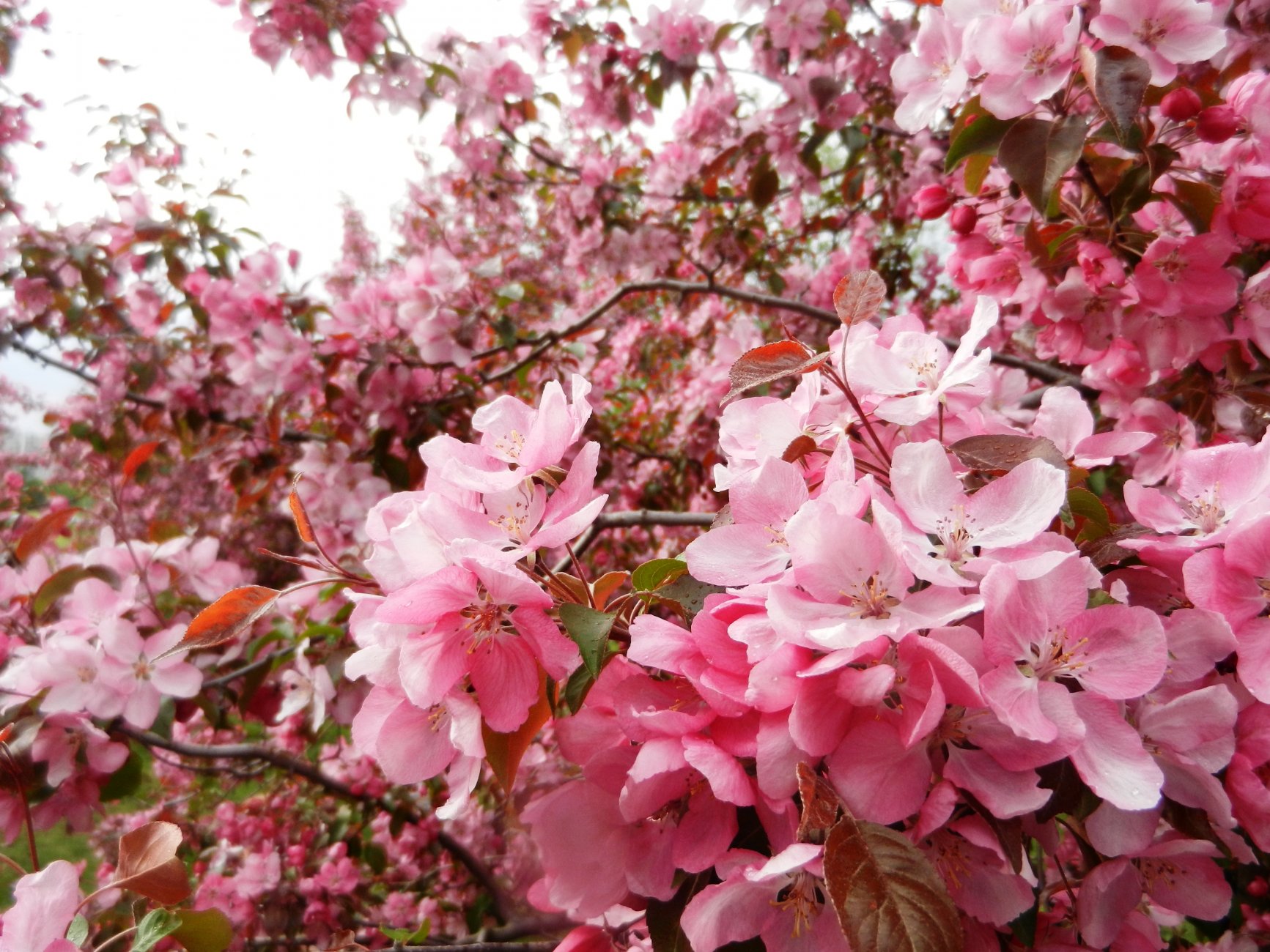 DSCN1229.JPG