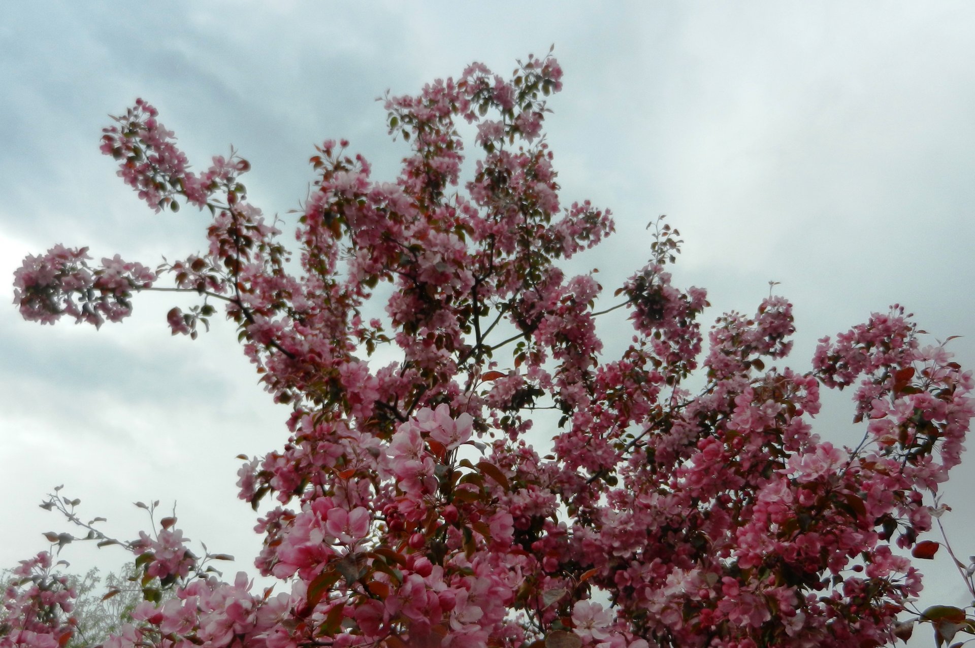 DSCN1231.JPG