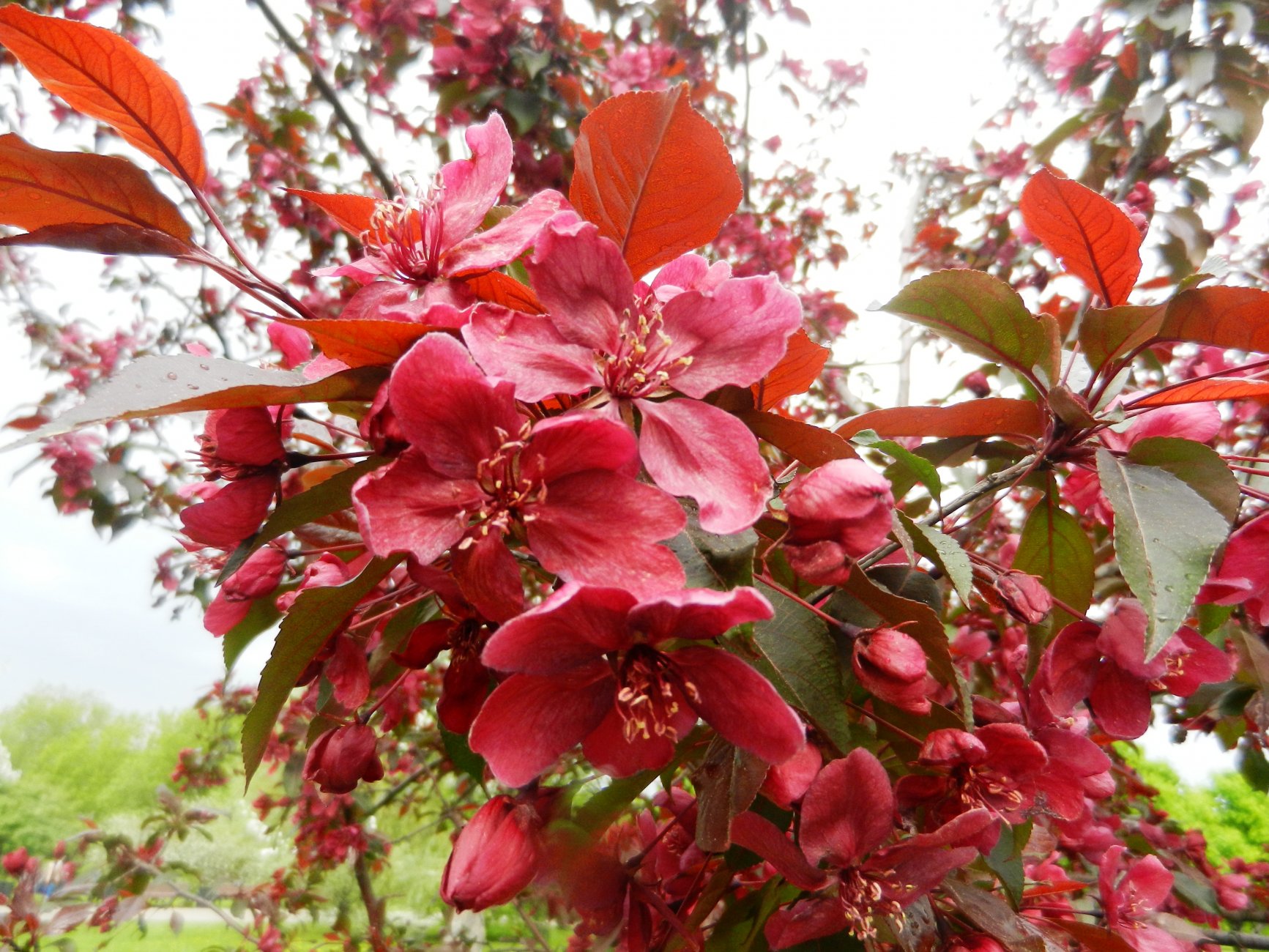 DSCN1236.JPG
