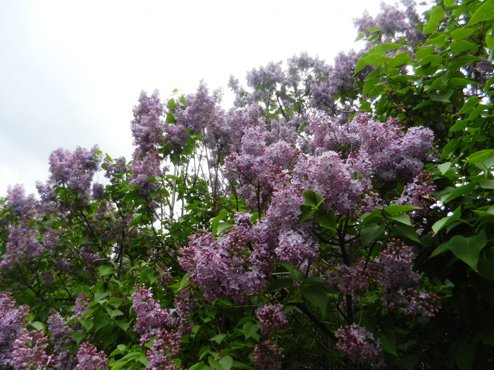DSCN1240.JPG