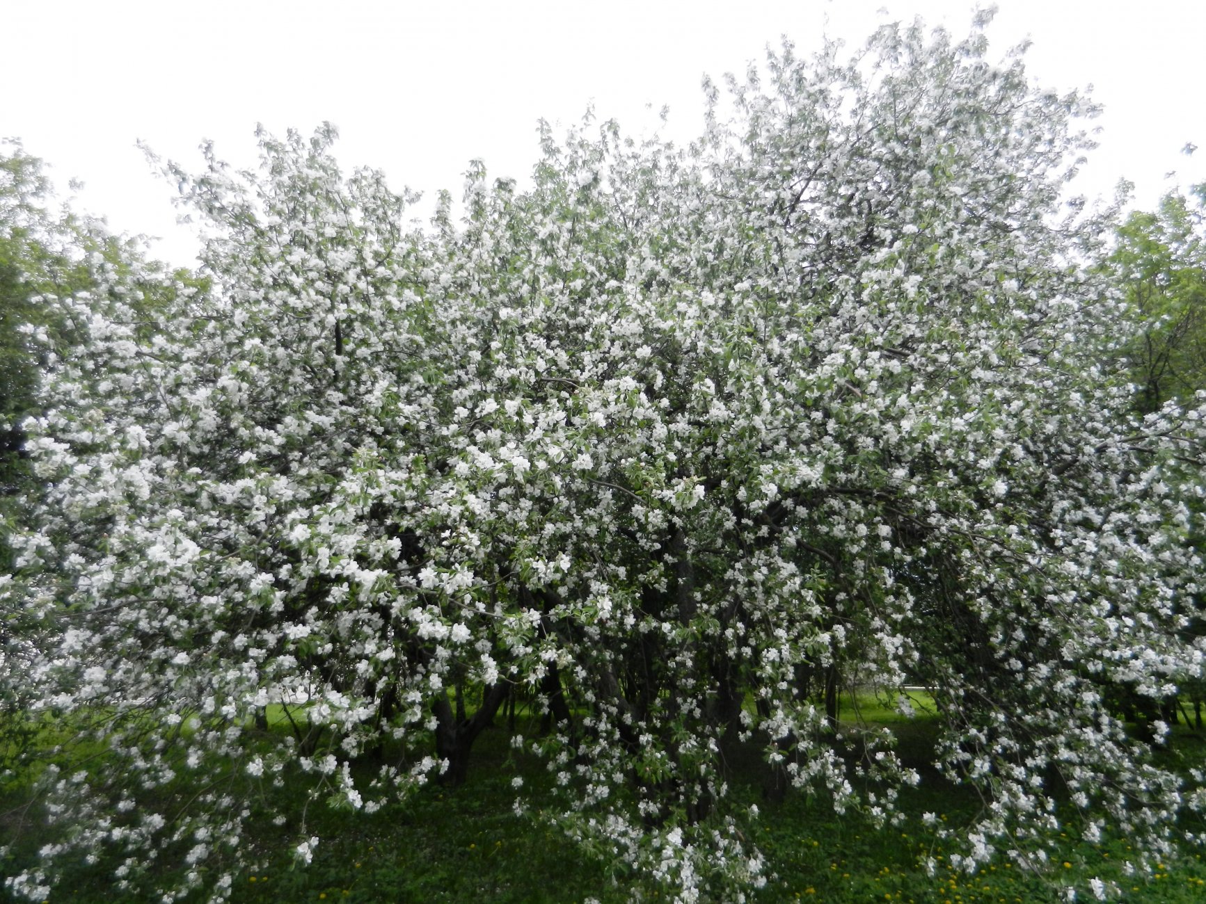 DSCN1243.JPG