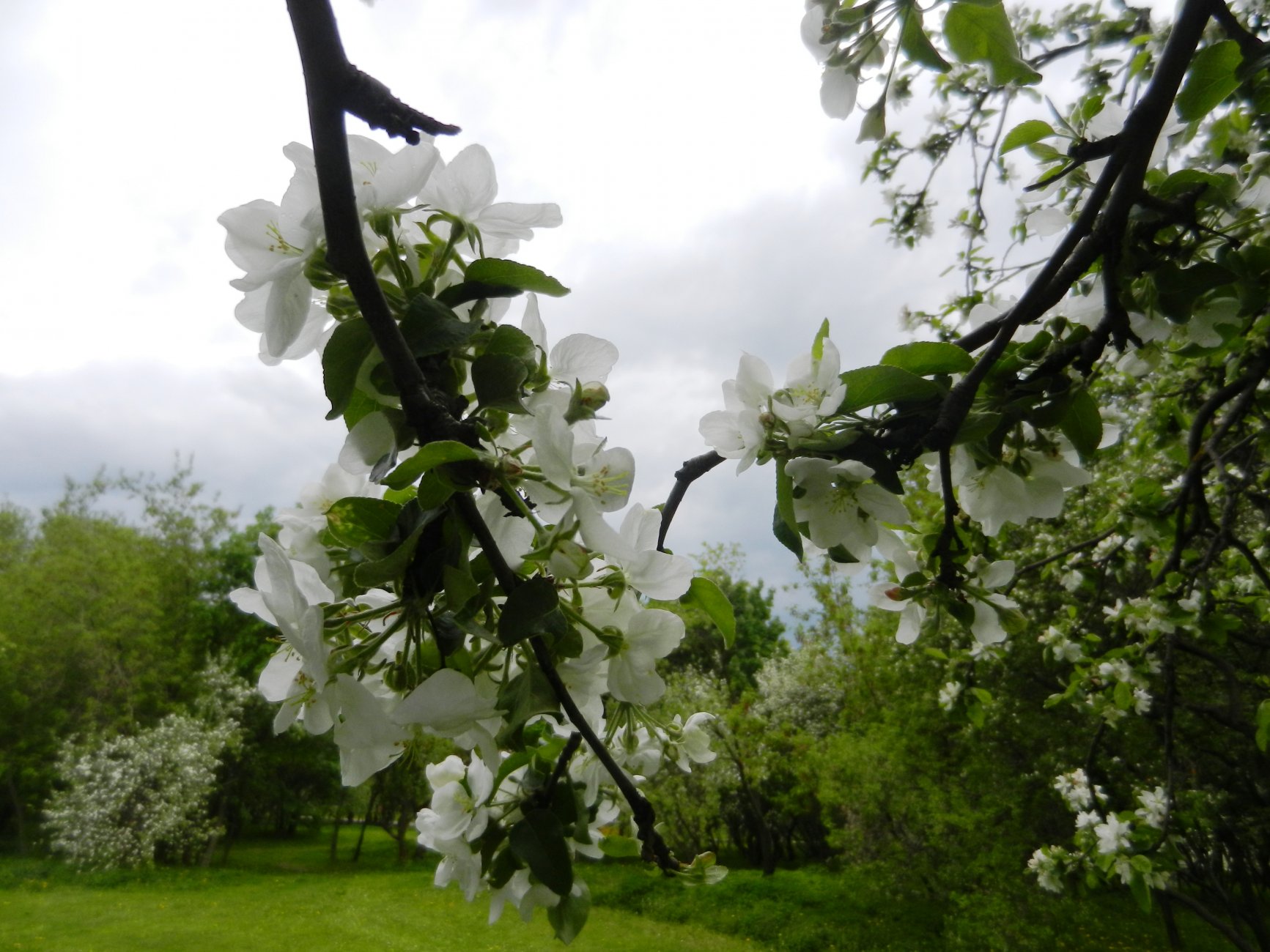DSCN1251.JPG