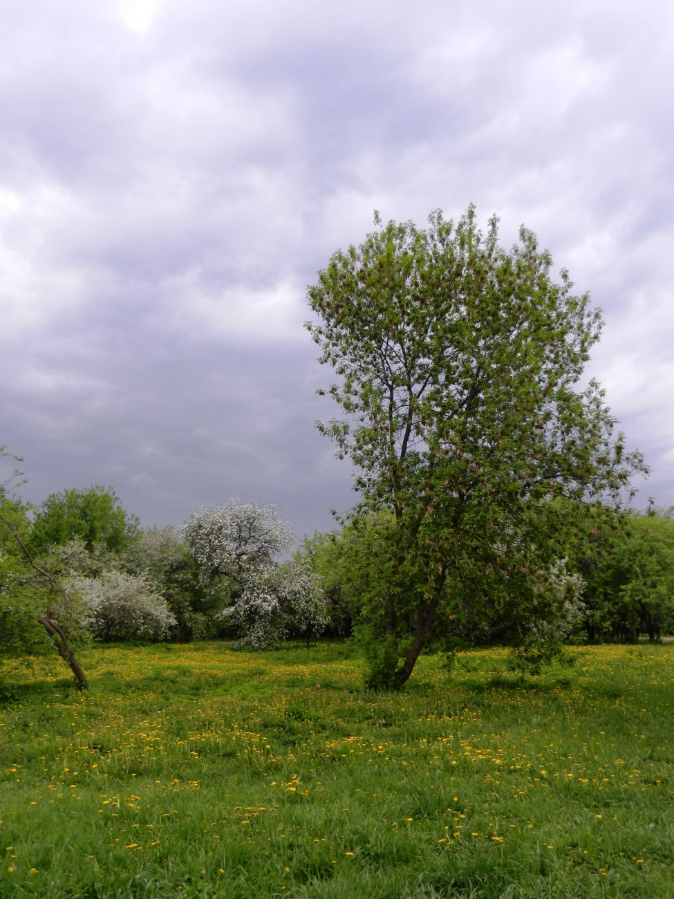 DSCN1253.JPG