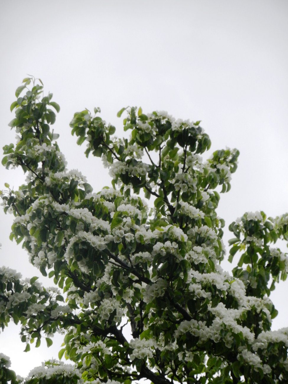 DSCN1261.JPG