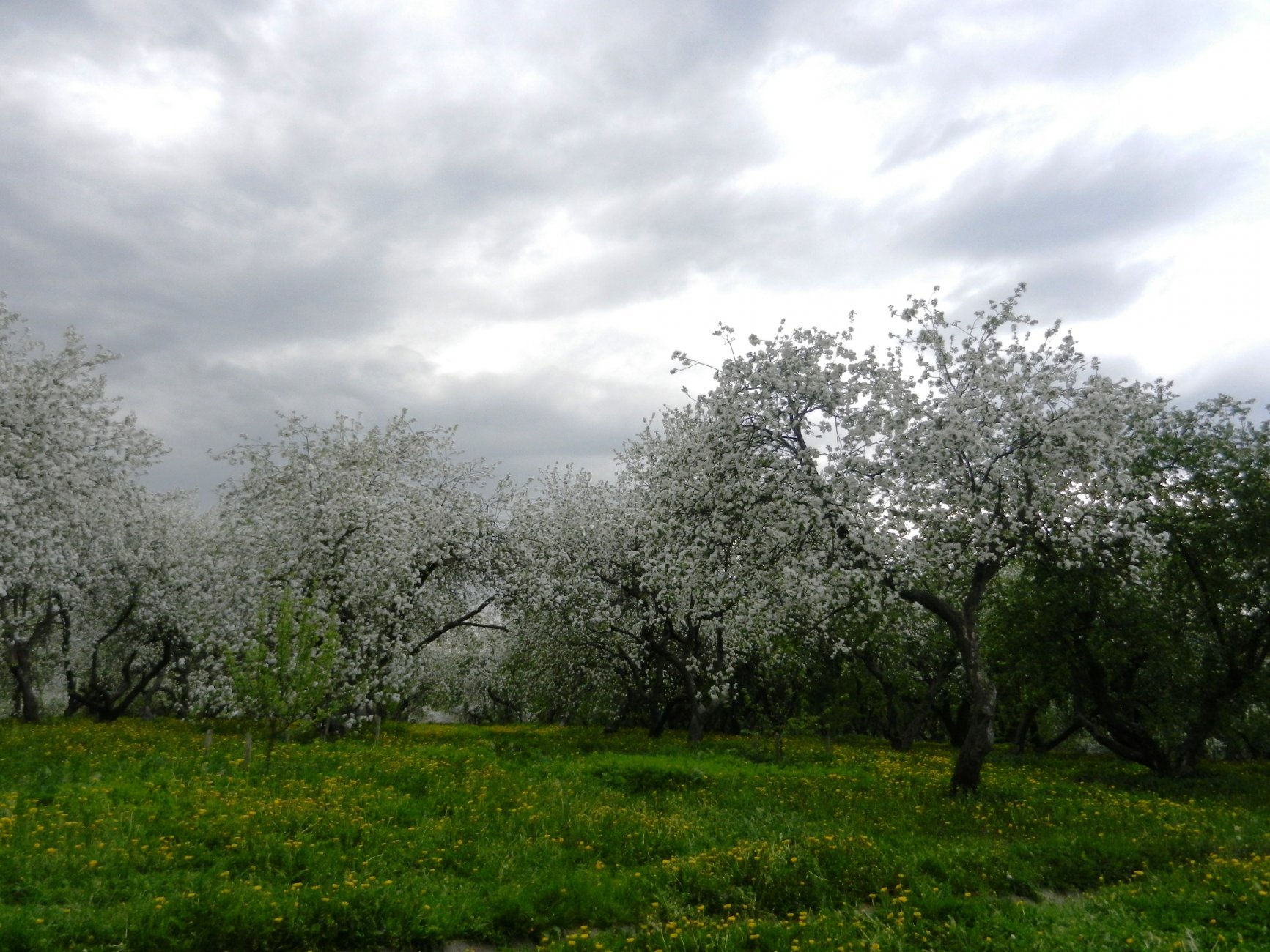 DSCN1263.JPG