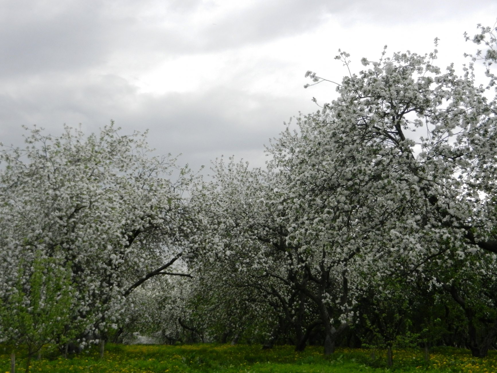 DSCN1264.JPG