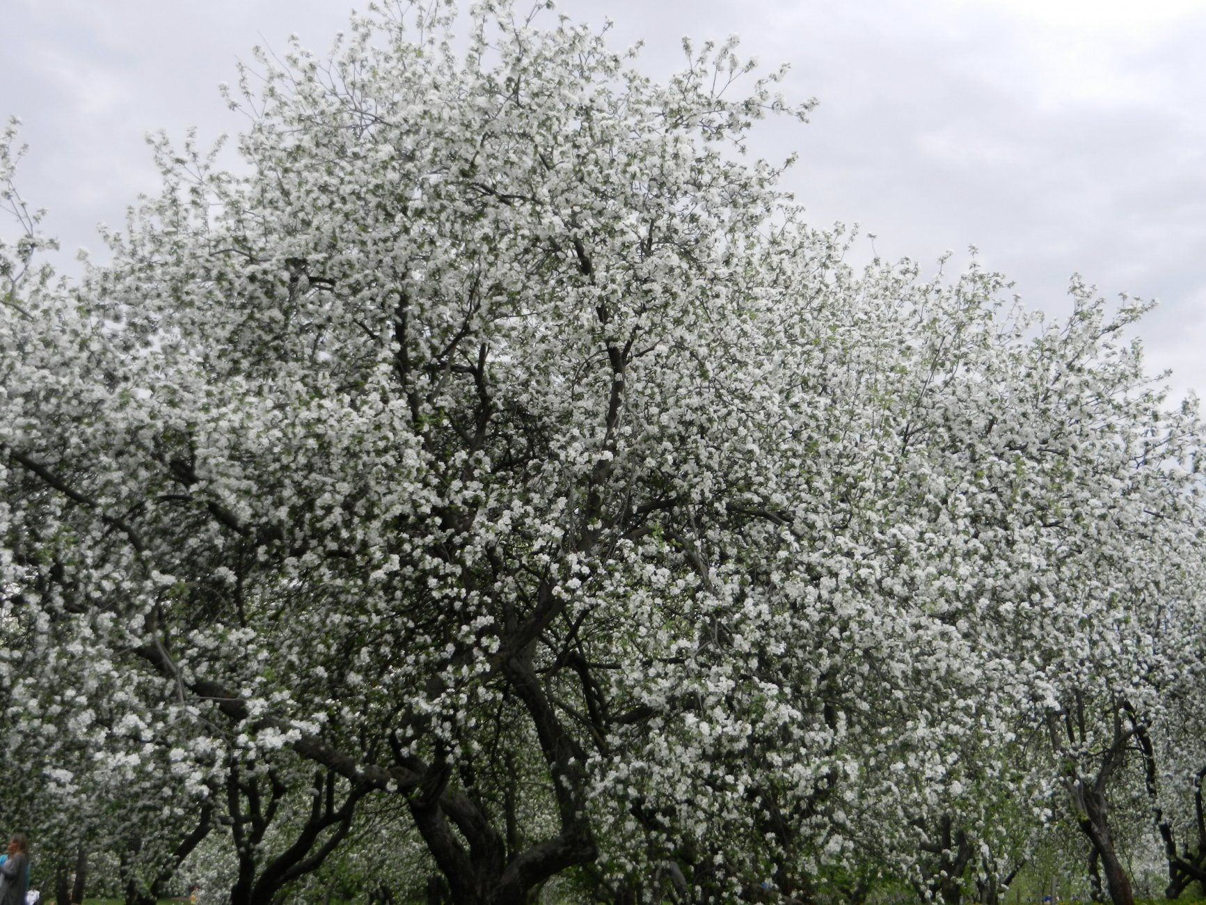 DSCN1265.JPG