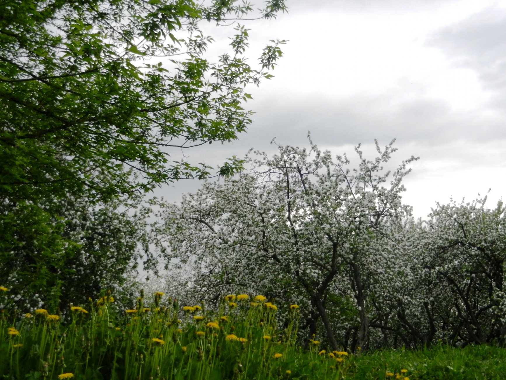 DSCN1267.JPG