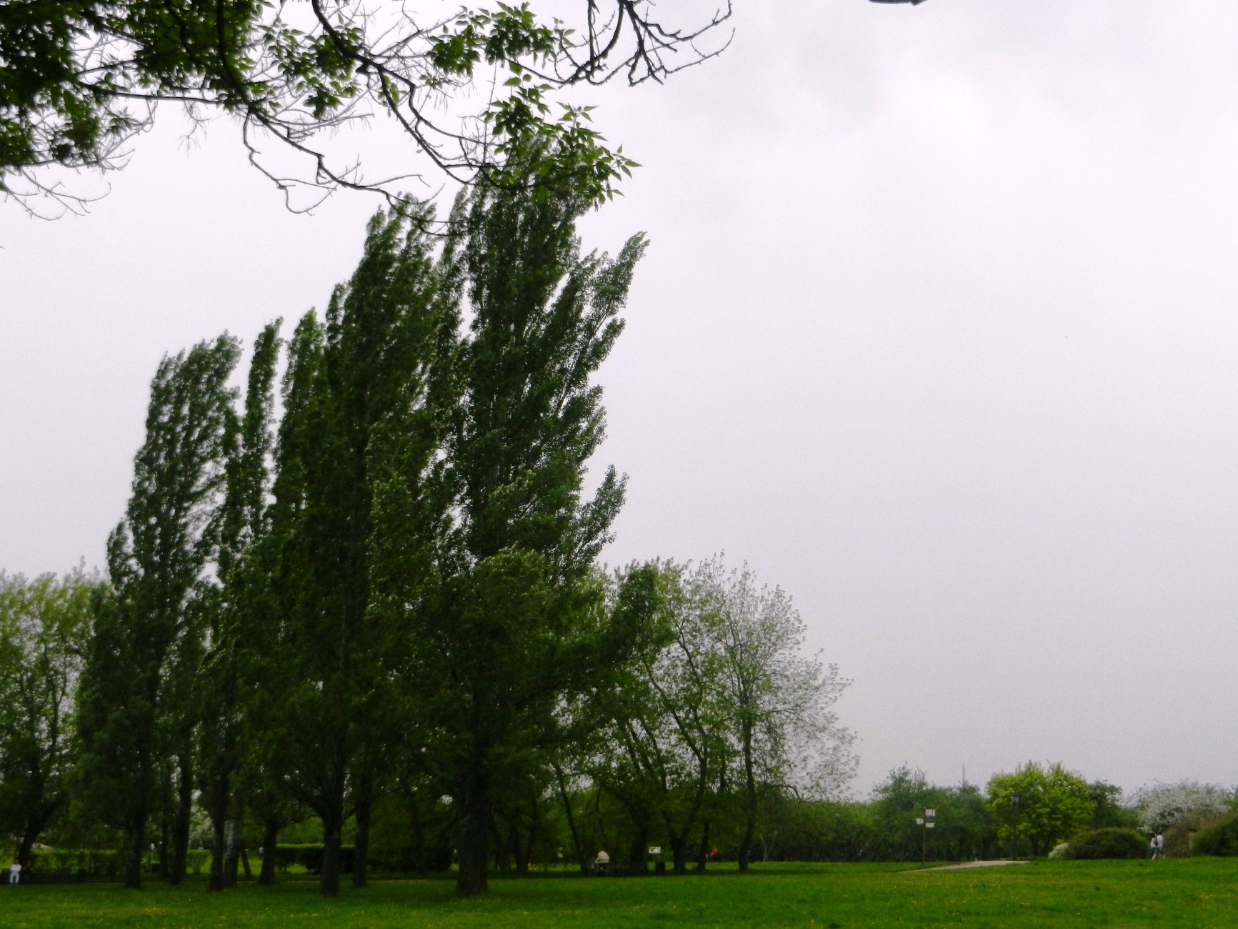 DSCN1272.JPG