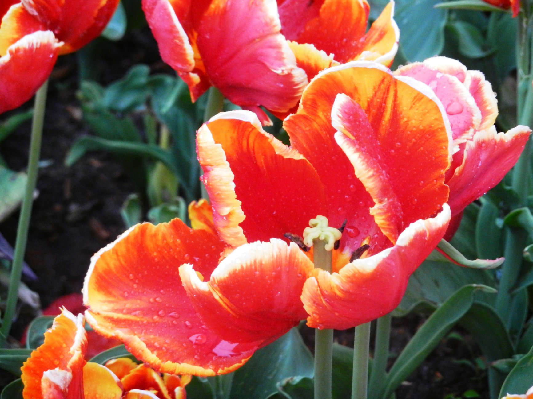DSCN1290.JPG