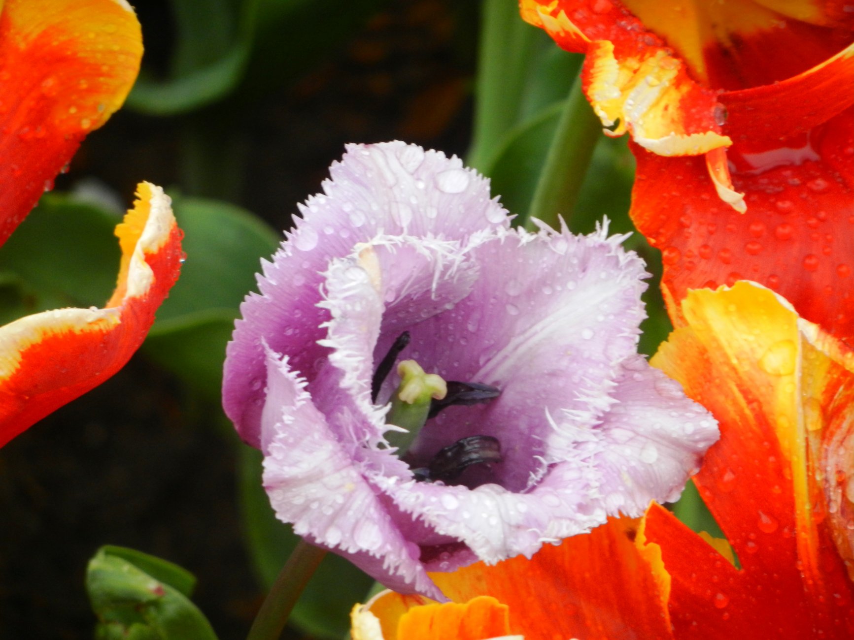 DSCN1293.JPG