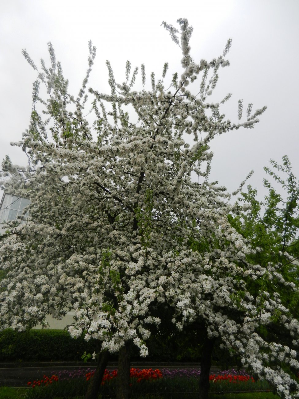 DSCN1294.JPG