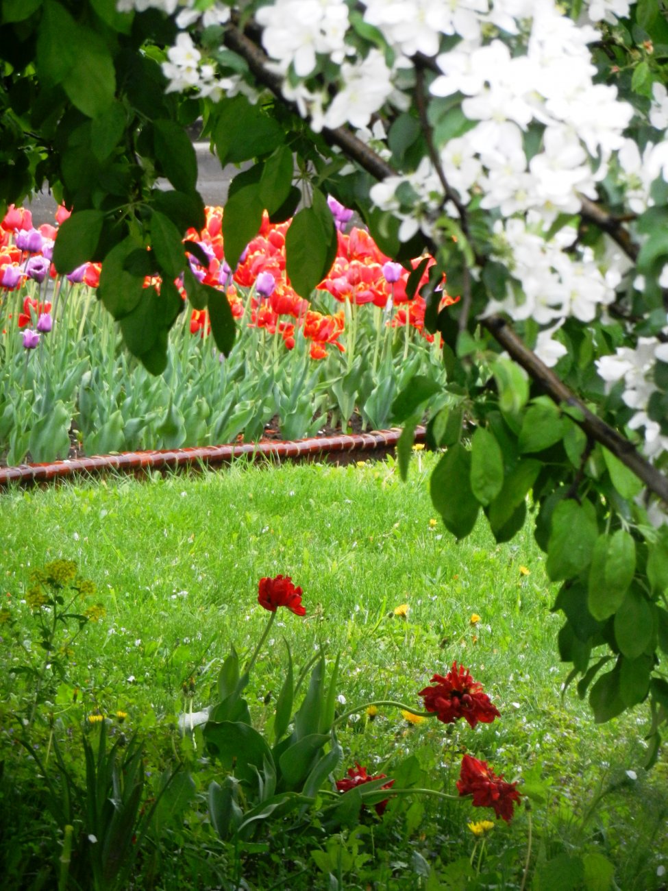 DSCN1297.JPG