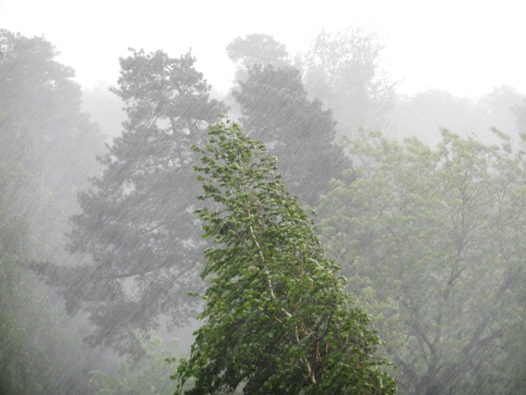 DSCN1302.JPG