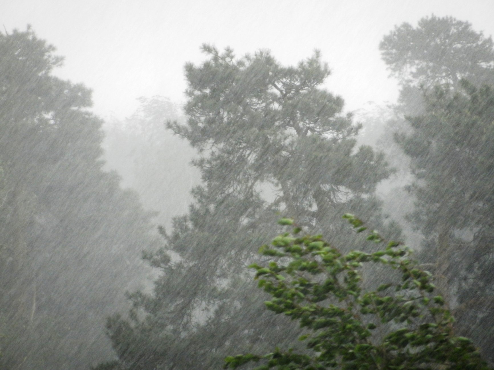 DSCN1303.JPG